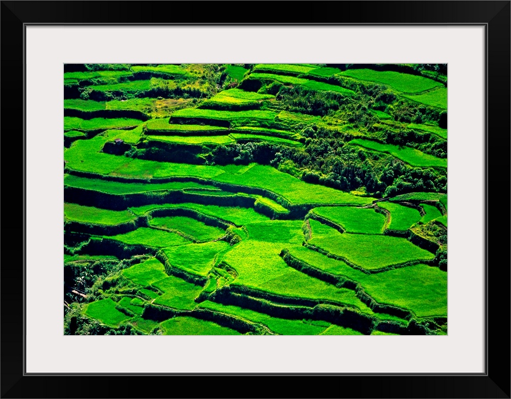 Philippines, Luzon, Barangay, Rice terraces near Barangay (UNESCO World Heritage)