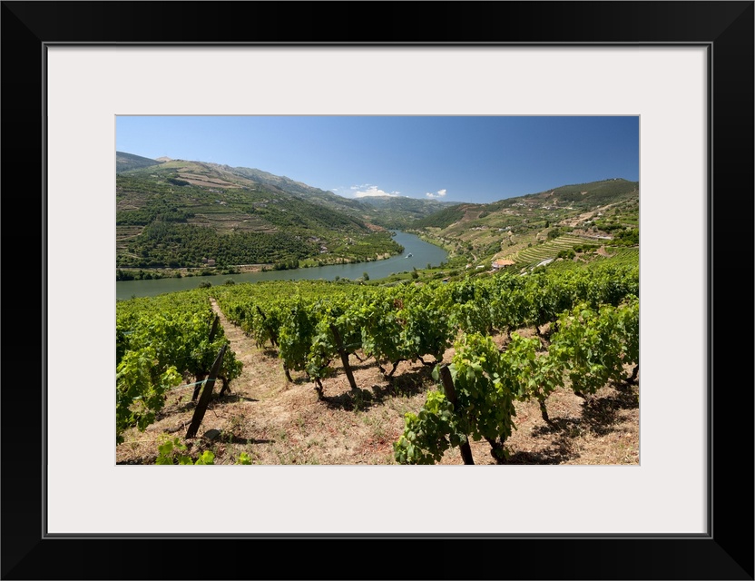 Portugal, Vila Real, Douro, Tras-os-Montes e Alto Douro, Mesao Frio, the Douro valley