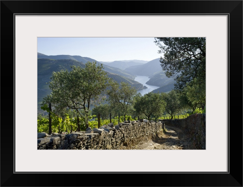 Portugal, Vila Real, Douro, Tras-os-Montes e Alto Douro, The Douro valley