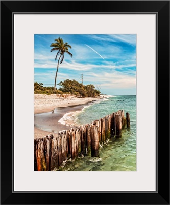 Southwest Florida, Gulf Of Mexico, Sanibel Island, Beach Scene