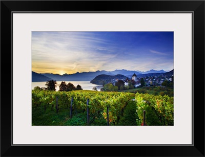 Switzerland, Bern, Berner Oberland, Lake Thun, Spiez, medieval castle and vineyards