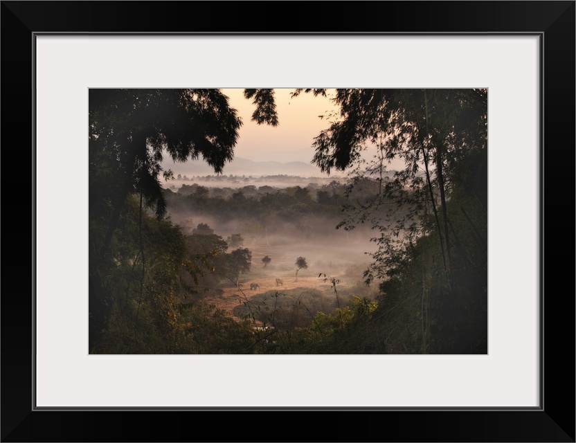 Thailand, Chaing Saen, Two elephants in a jungle clearing, Anantara elephant sanctuary.