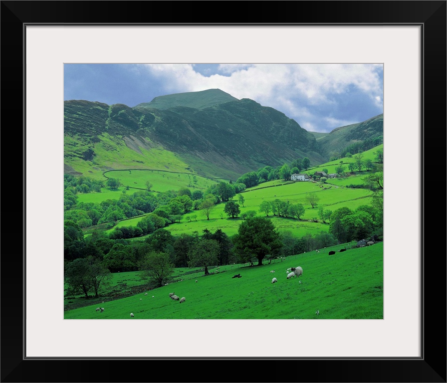 United Kingdom, UK, England, Cumbria, Lake District, Countryside near Keswick village