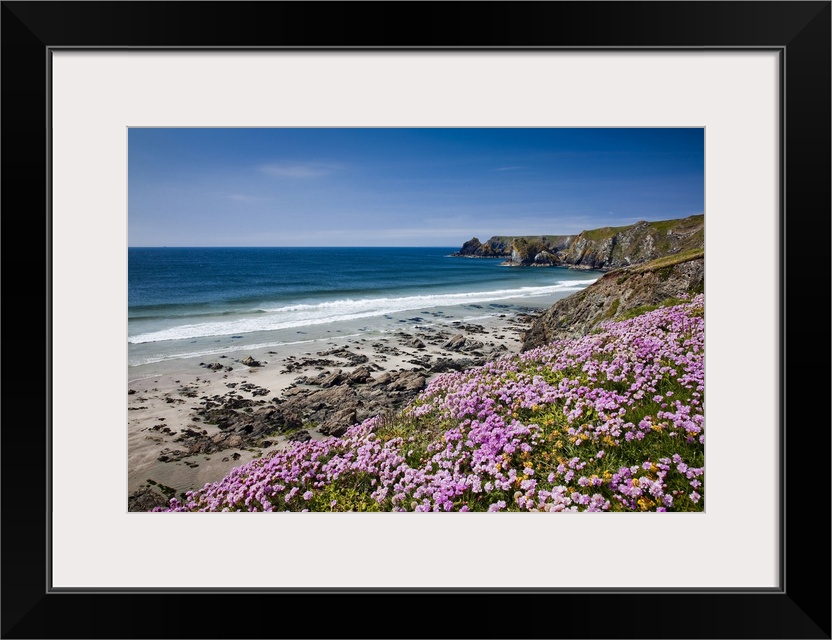 UK, England, Great Britain, Cornwall, Kynance Cove, Lizard Point