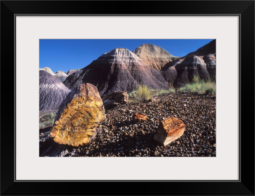 United States, Arizona, Petrified Forest National Park