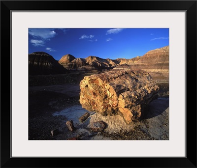 United States, Arizona, Petrified Forest National Park, petrified wood in Blue Mesa Area