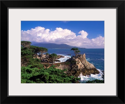 United States, California, Carmel Coast near Monterey Bay