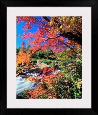 United States, New York State, Adirondacks, Ausable river