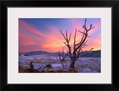 US, Wyoming, Yellowstone National Park, Mammoth Hot Springs area