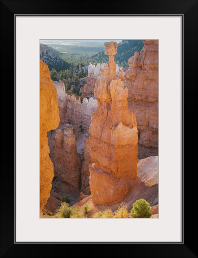 USA, Utah, Bryce Canyon National Park, Sunrise at Thor's Hammer.