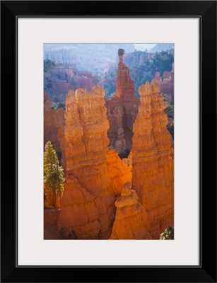 Utah, Bryce Canyon National Park, Thor's Hammer at sunrise