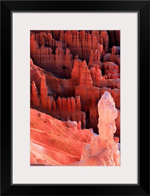 Utah, Sunrise on the Hoodoos in Bryce Canyon from Inspiration point