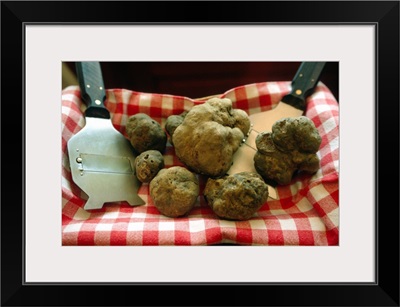 White truffle