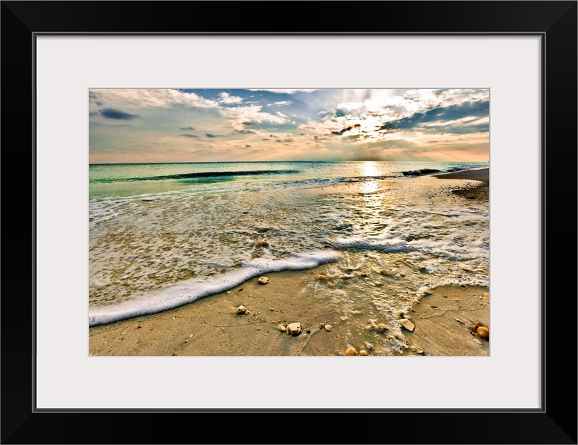 Landscape photography of a beautiful beach sunset with a green seascape. This picture is titled Sea Shells on Beach for th...