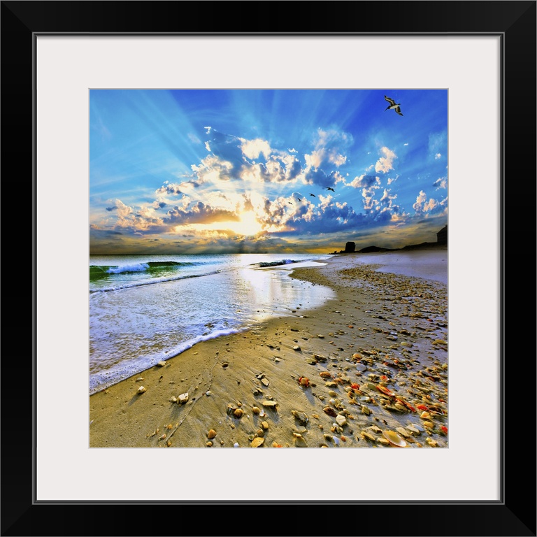 A sandy shell covered shore before sun rays bursting out of a bright blue sunset. A very tranquil and relaxing Florida vac...