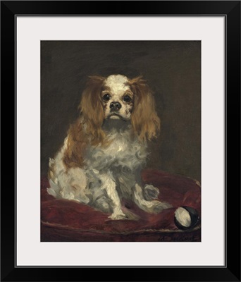 A King Charles Spaniel, by Edouard Manet, 1866