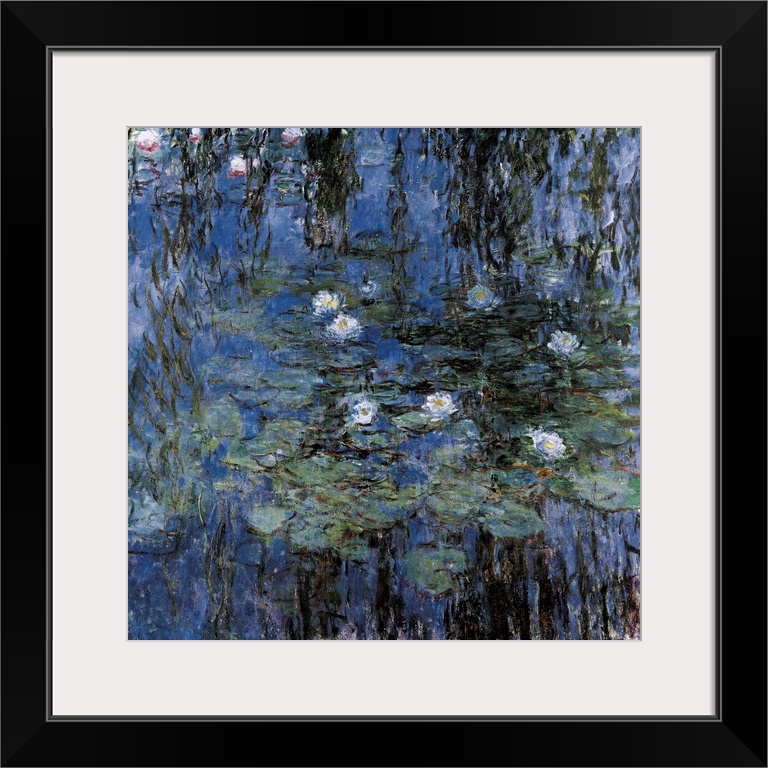 Blue Waterlilies