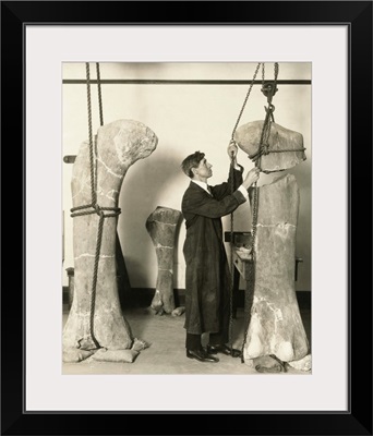 Dr. J. B. Abbott, prepared fossils of dinosaurs' thigh bones for public display