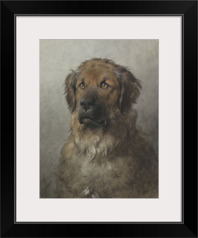 Head of a Newfoundland Dog, by Otto Eerelman, c. 1860-1920, Dutch watercolor painting.