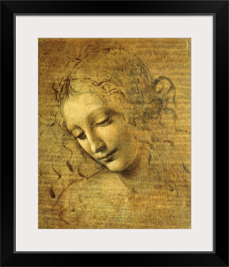 Head of a Young Woman La Scapigliata (The Lady of the Disheveled Hair), by Leonardo da Vinci Unknown Artist, 1508 about, 1...