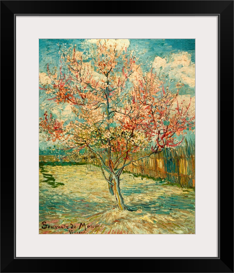 Peach Blossoming (Souvenir de Mauve), by Vincent Van Gogh, 1888, 19th Century, oil on canvas, cm 73 x 59,5 - Netherlands, ...