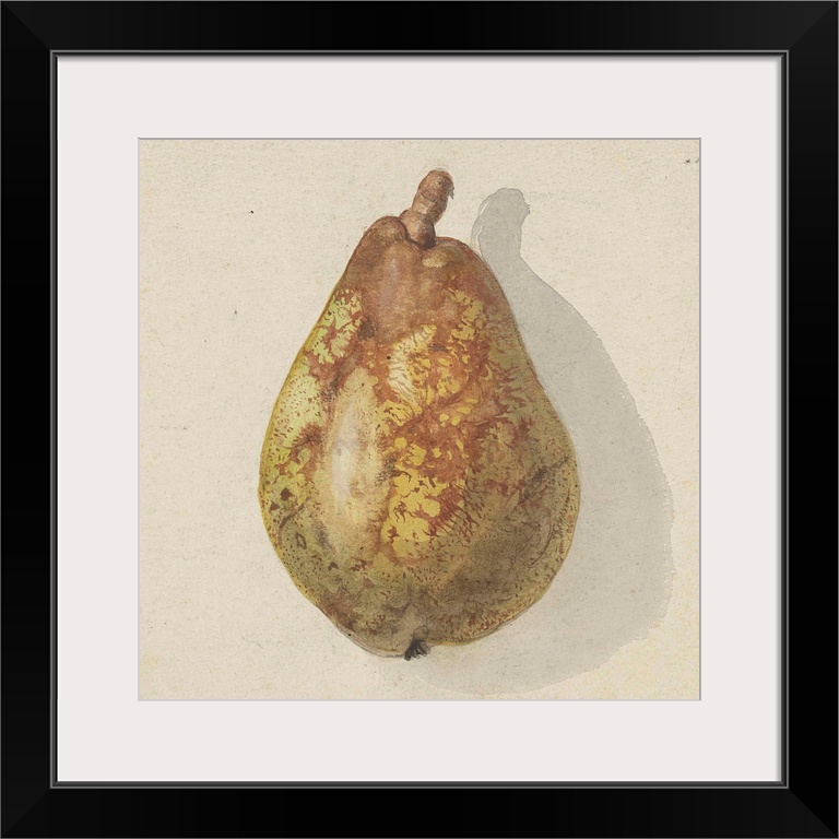 Pear, by Gerardina Jacoba van de Sande Bakhuyzen, c.1850-80, Dutch watercolor painting.