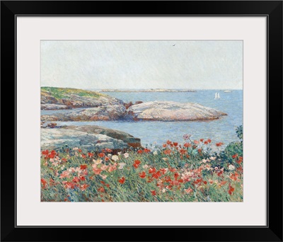 Poppies, Isles of Shoals, America, by Childe Hassam, 1891