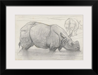 Rhinoceros in Water, by August Allebe, c. 1860-1900, Dutch chalk drawing