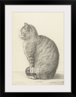 Sitting Cat, Facing Left, by Jean Bernard, 1825, Dutch chalk and pencil drawing