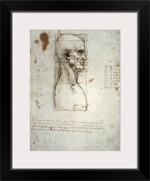 LEONARDO DA VINCI (1452-1519). Sketch of the head proportions. From Vitruvius The Ten Books on Architecture. Drawing. ITAL...