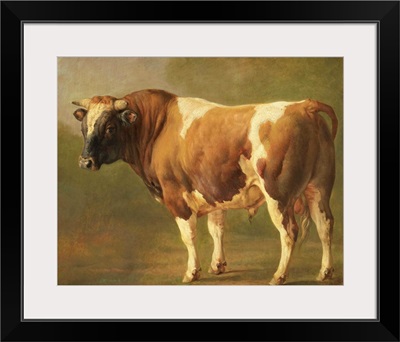 Study of a Bull, Jacques Raymond Brascassat, 1830-67