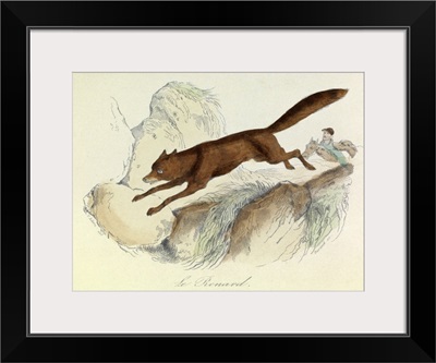 The Fox, Domestic Animals, from de Buffon