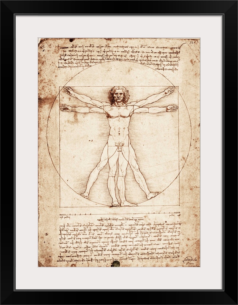 Vitruvian Man