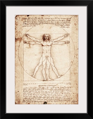 Vitruvian Man