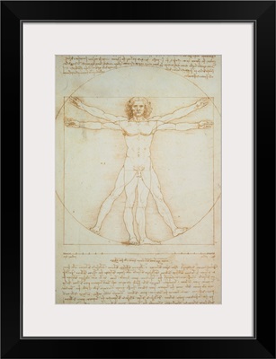 Vitruvian man-the proportions of the human body according to Vitruvius