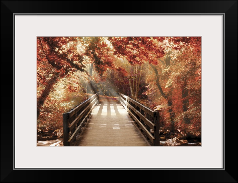 Photograph of a bridge going over a creek in woods covered in red Fall trees with beautiful sunlight.