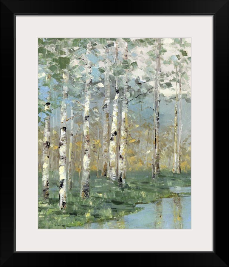 Birch Reflections I