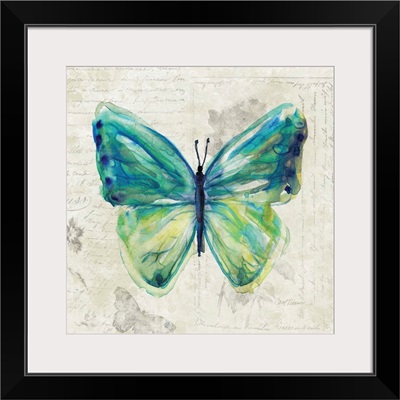 Butterfly Sketch IV