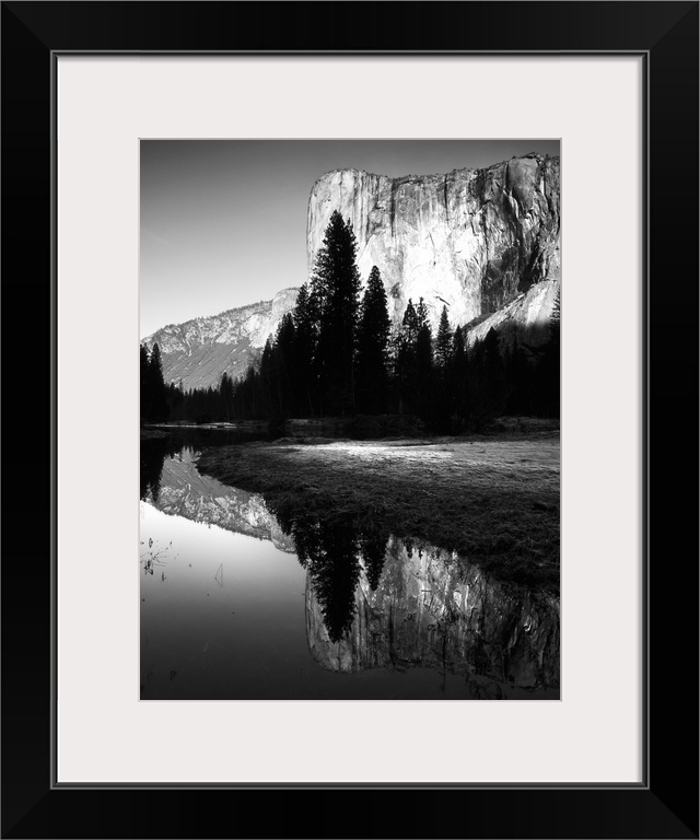 Black and white photo of a cliffside behind dark trees in Yosemite.