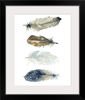 Feather Collection I