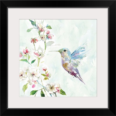 Hummingbird II