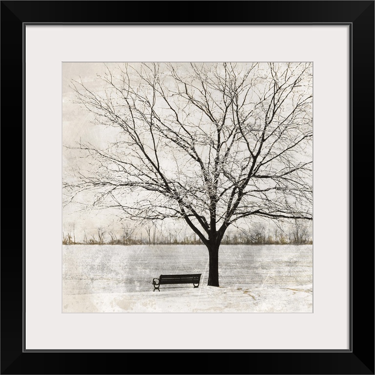 A bench and a tree at the edge of a river in the winter.