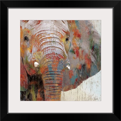 Paint Splash Elephant