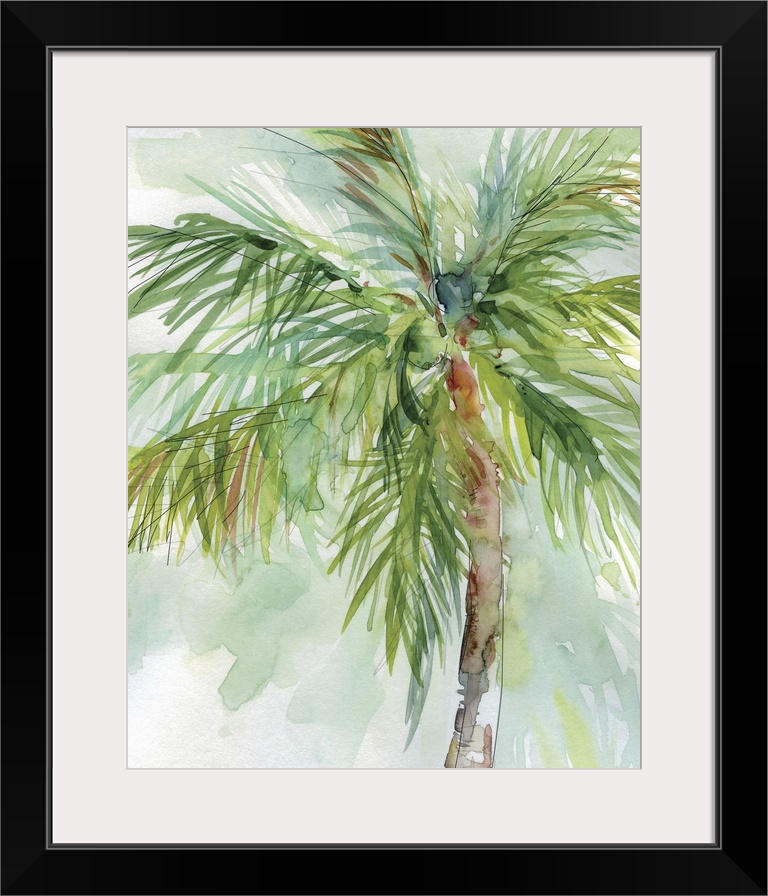 Palm Breezes II