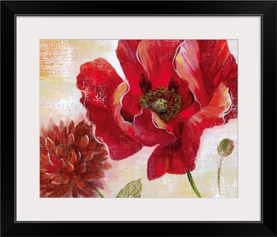 Passion for Poppies II