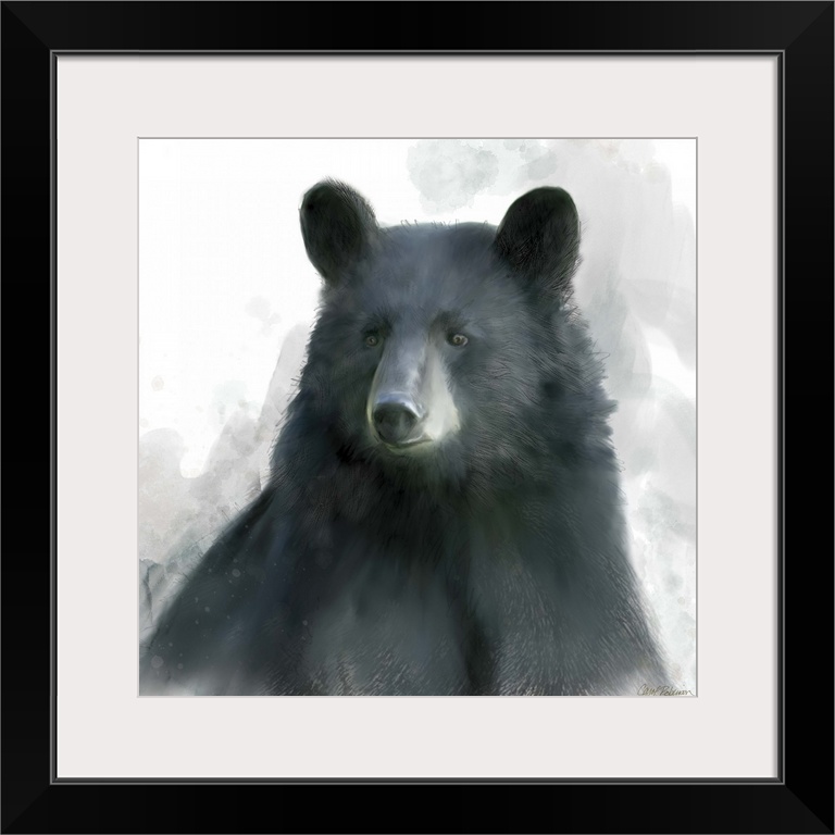 Watercolor portrait of a black bear on white.
