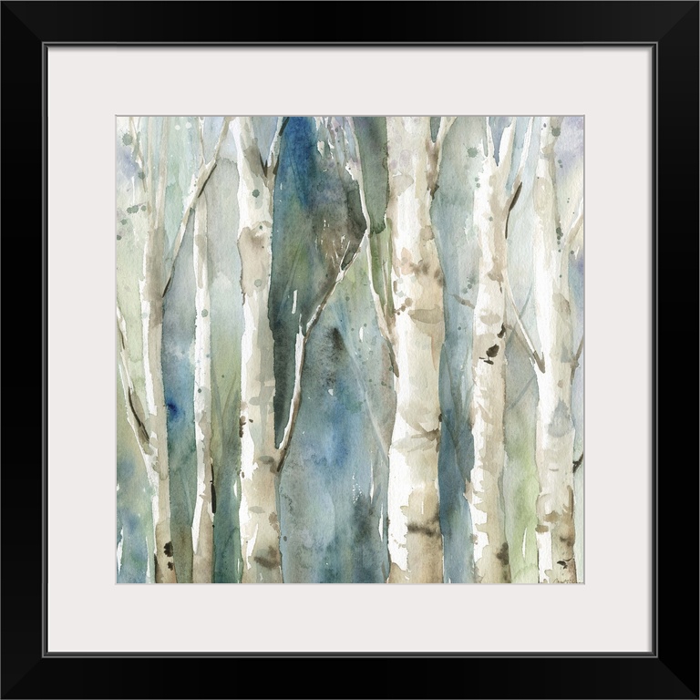Square watercolor painting of Birch trees with a blue and green toned background.