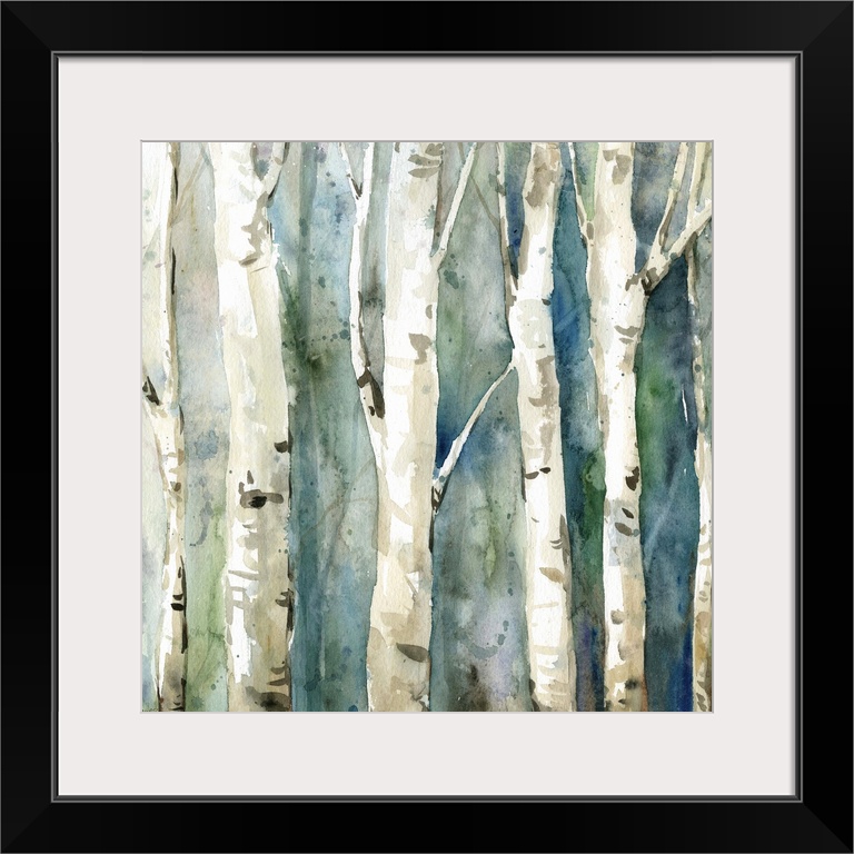 Square watercolor painting of Birch trees with a blue and green toned background.