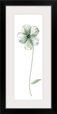 Sage Flower II