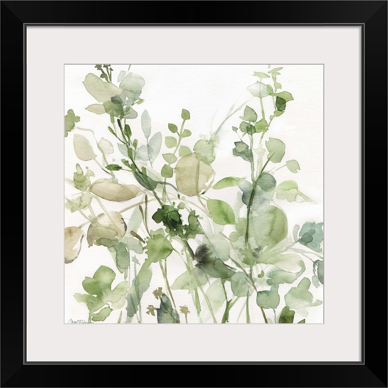 Square watercolor painting of a sage garden in shades of green and beige on a white background.